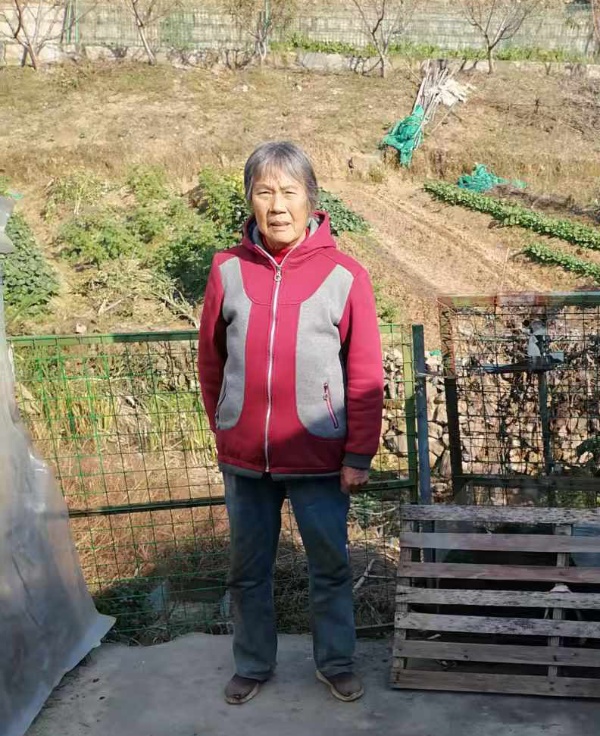 从富到穷：王苗珍在绍兴丑闻中寻求正义的29年历程